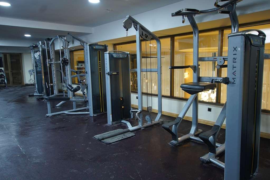 Best Western Premier Dynasty Addis Ababa Bekvämligheter bild
